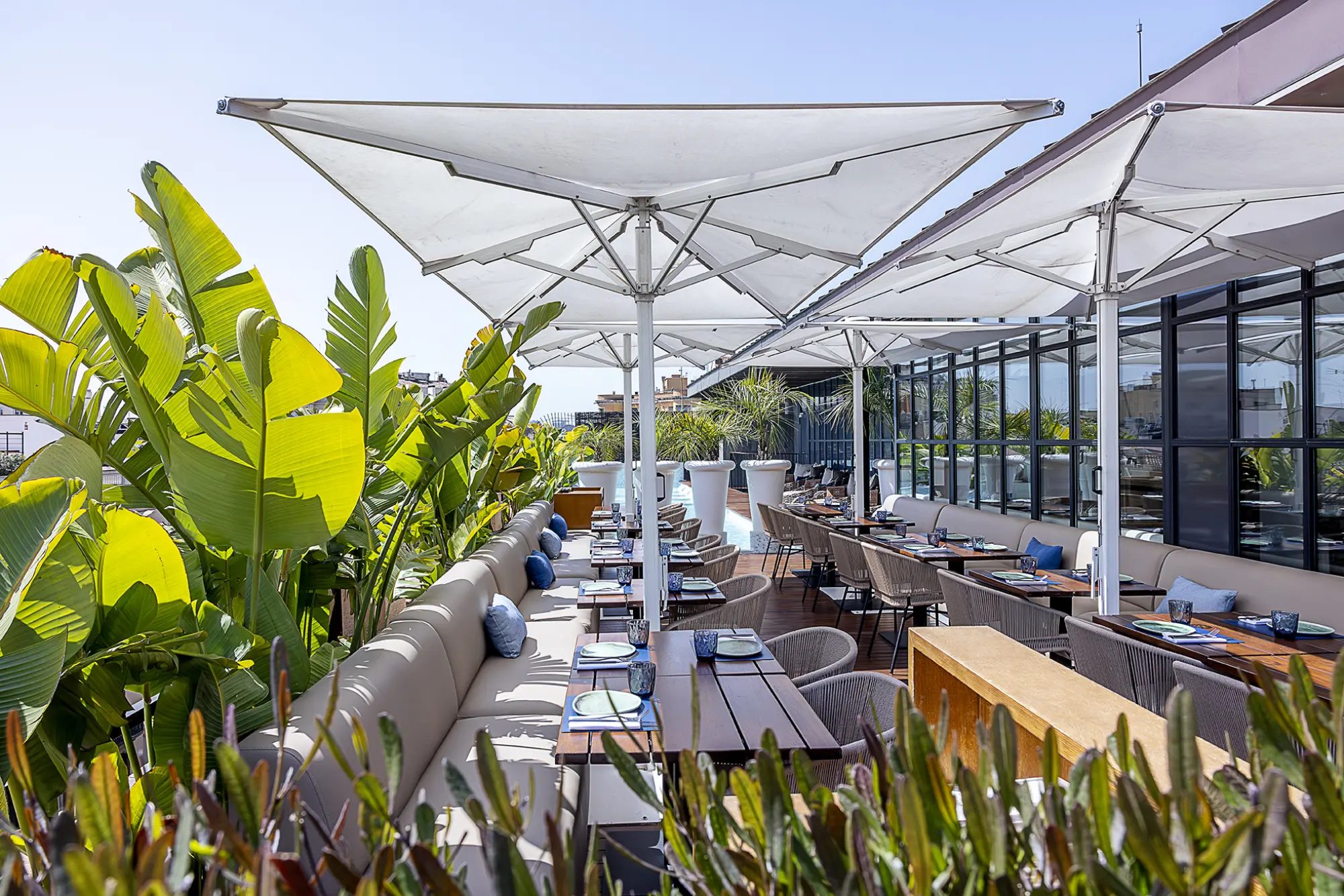 Terraza Verbena